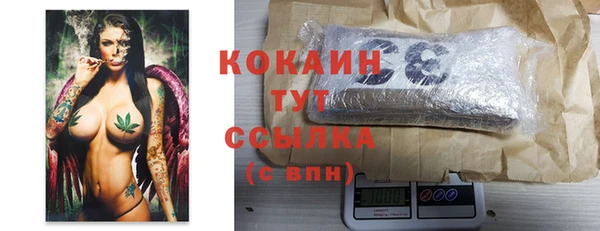 молекула духа Заводоуковск