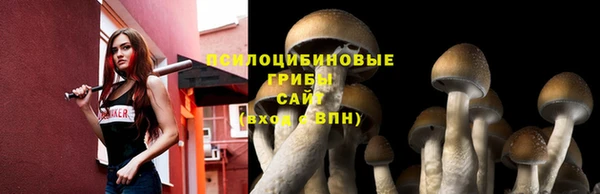 гидропоника Заволжск