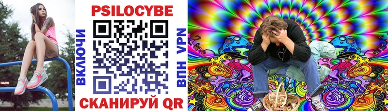 OMG зеркало  Кедровый  Галлюциногенные грибы Magic Shrooms 